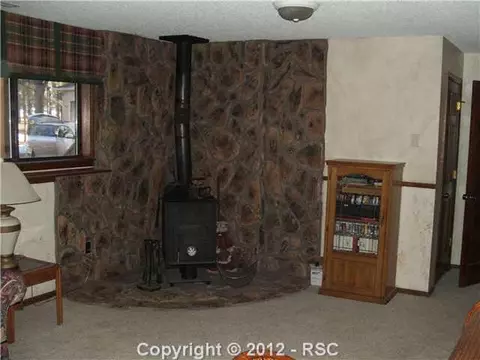 315 Lariat Loop, Monument, CO 80132 photo 16