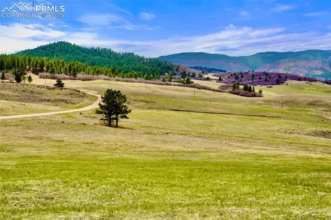 3 S Perry Park Rd, Larkspur, CO 80118
