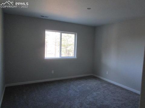 16228 Forest Cloud Way, Monument, CO 80132 photo 35