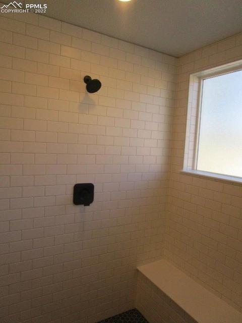 16228 Forest Cloud Way, Monument, CO 80132 photo 18