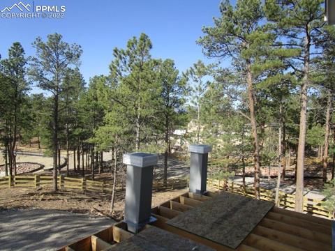 16228 Forest Cloud Way, Monument, CO 80132 photo 23