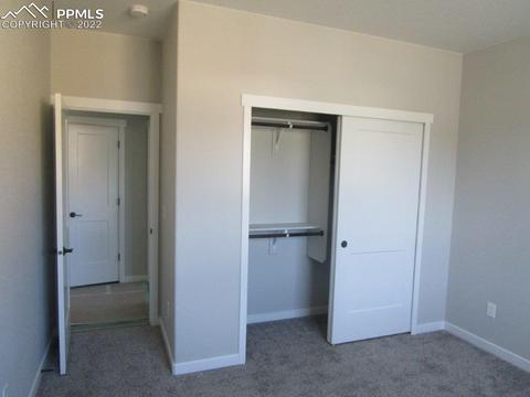 16228 Forest Cloud Way, Monument, CO 80132 photo 3