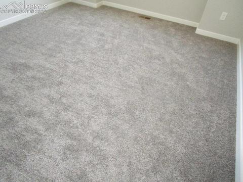 16228 Forest Cloud Way, Monument, CO 80132 photo 2