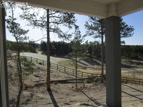 16228 Forest Cloud Way, Monument, CO 80132 photo 21