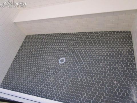 16228 Forest Cloud Way, Monument, CO 80132 photo 17
