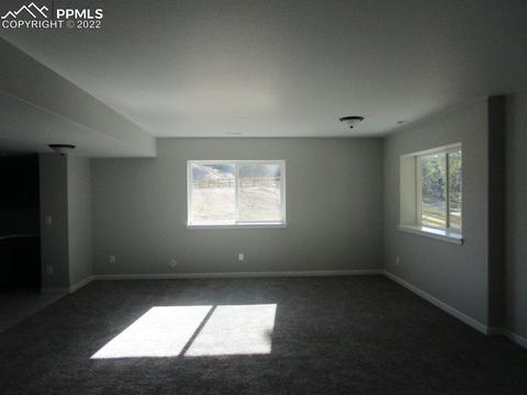 16228 Forest Cloud Way, Monument, CO 80132 photo 37