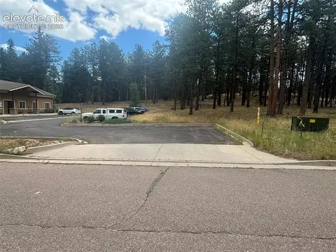 1020 Tamarac Pkwy, Woodland Park, CO 80863