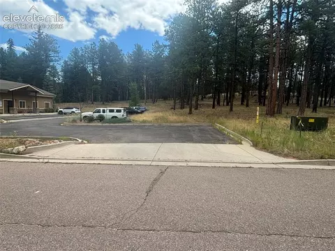 1020 Tamarac Pkwy, Woodland Park, CO 80863