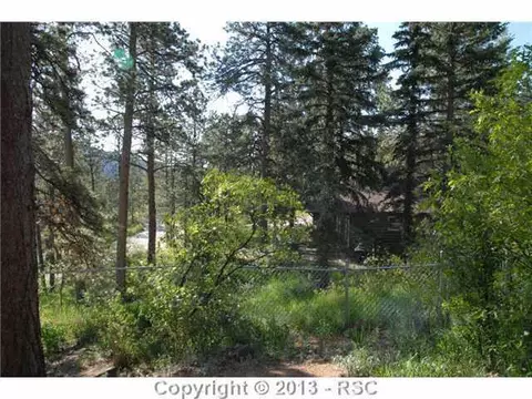 9045 Ute Rd, Cascade, CO 80809 photo 24