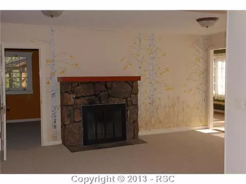 9045 Ute Rd, Cascade, CO 80809 photo 7