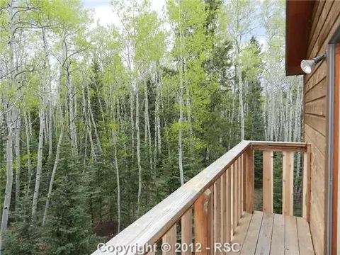 602 Divide South Dr, Divide, CO 80814 photo 3