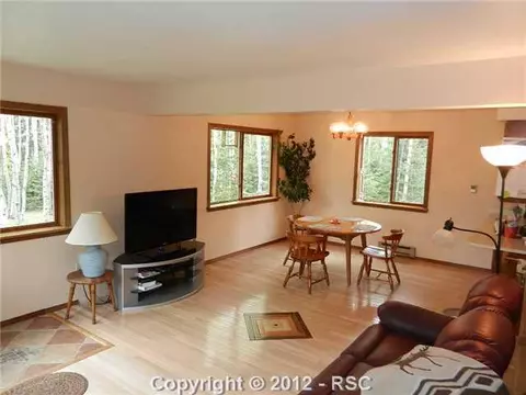 602 Divide South Dr, Divide, CO 80814 photo 4