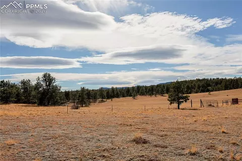 000 Twinkle Rd, Guffey, CO 80820