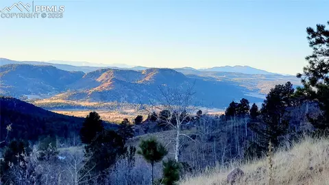 161 Last Dollar Dr, Cripple Creek, CO 80813