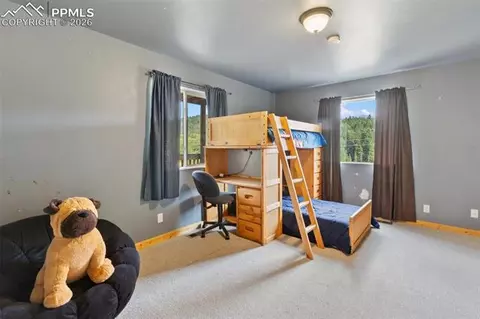 50 Worley Rd, Divide, CO 80814 photo 19