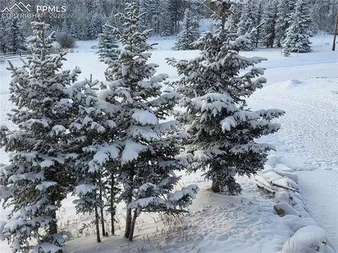 50 Worley Rd, Divide, CO 80814 photo 35