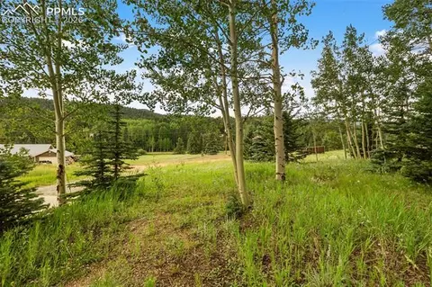 50 Worley Rd, Divide, CO 80814 photo 32