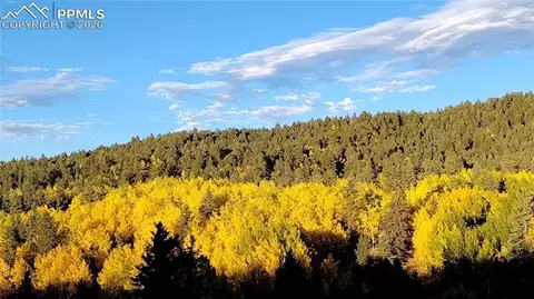 50 Worley Rd, Divide, CO 80814 photo 44