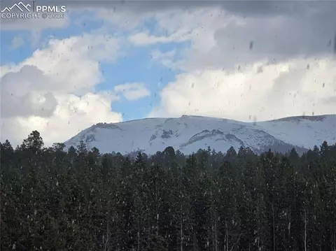 50 Worley Rd, Divide, CO 80814 photo 36