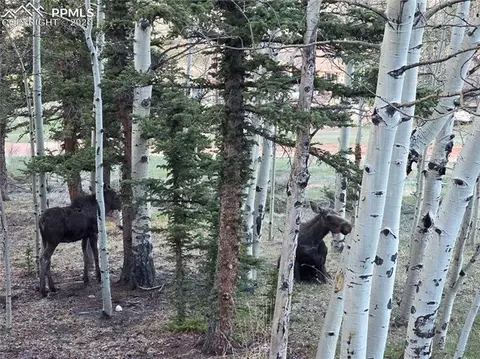 50 Worley Rd, Divide, CO 80814 photo 38
