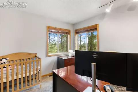 164 Spring Valley Cir, Divide, CO 80814 photo 31
