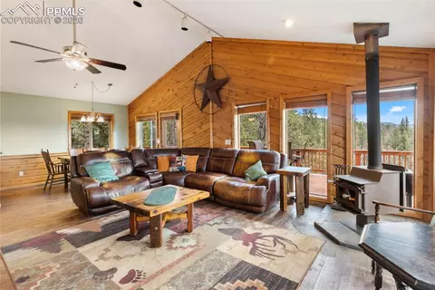 164 Spring Valley Cir, Divide, CO 80814 photo 14