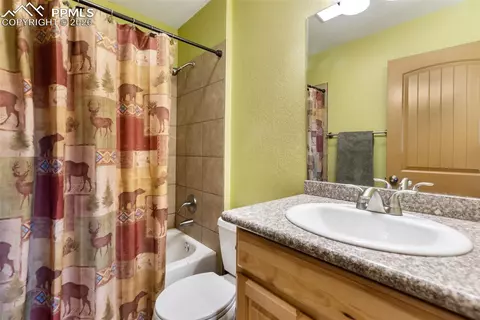 164 Spring Valley Cir, Divide, CO 80814 photo 30