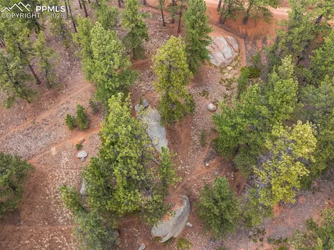 164 Spring Valley Cir, Divide, CO 80814 photo 8