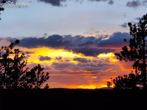 164 Spring Valley Cir, Divide, CO 80814 photo 48