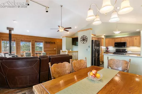 164 Spring Valley Cir, Divide, CO 80814 photo 16