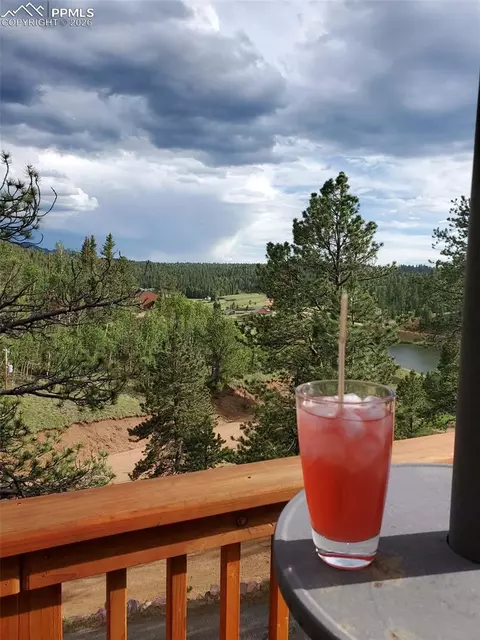 164 Spring Valley Cir, Divide, CO 80814 photo 49