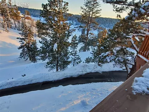 164 Spring Valley Cir, Divide, CO 80814 photo 47