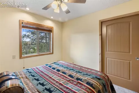 164 Spring Valley Cir, Divide, CO 80814 photo 29