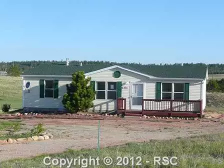 431 Doublet Ln, Divide, CO 80814 photo 1
