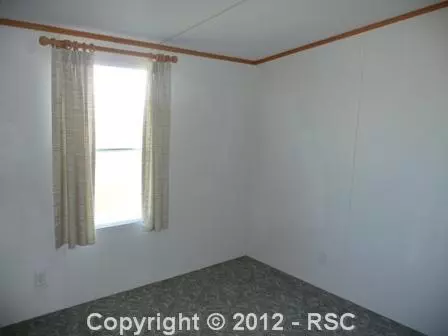 431 Doublet Ln, Divide, CO 80814 photo 8
