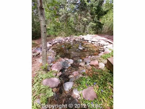 9460 Ute Rd, Cascade, CO 80809 photo 15