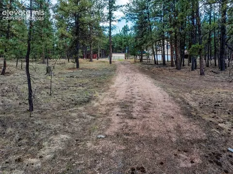 41 73 Ingels Dr, Florissant, CO 80816