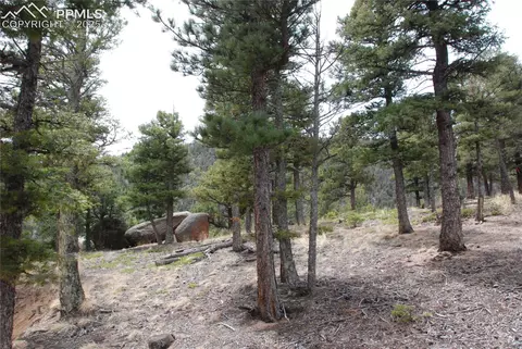 16965 Winchester Rd, Colorado Springs, CO 80908
