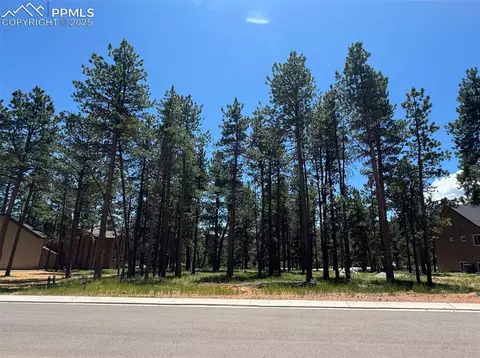 1287 Firestone Dr, Woodland Park, CO 80863