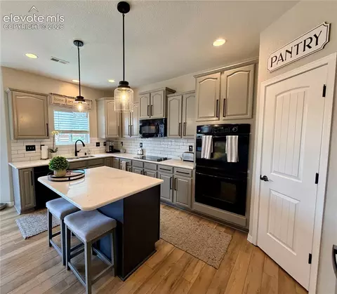 10820 Cascading Spring Cir, Peyton, CO 80831 photo 10