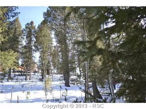 3244 Blue Mesa Dr, Divide, CO 80814 photo 5
