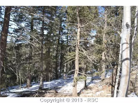 3244 Blue Mesa Dr, Divide, CO 80814 photo 6