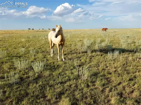 3875 N Rush Rd, Rush, CO 80833 photo 1