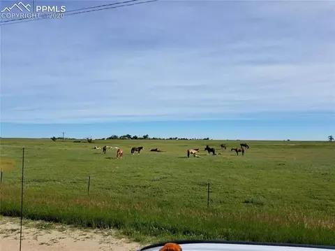 3875 N Rush Rd, Rush, CO 80833 photo 2