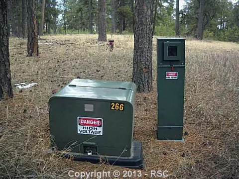 18145 Cumbres Rd, Peyton, CO 80831 photo 3