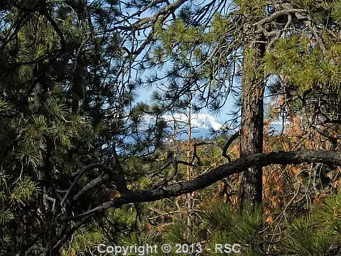 18145 Cumbres Rd, Peyton, CO 80831 photo 1