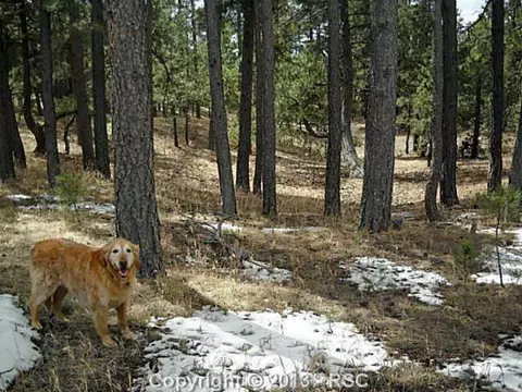 18145 Cumbres Rd, Peyton, CO 80831 photo 2