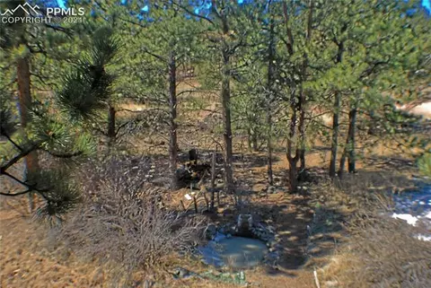 262 338 Post Rd, Guffey, CO 80820 photo 12