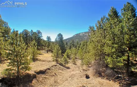 262 338 Post Rd, Guffey, CO 80820 photo 33