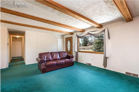 13258 S Mohawk St, Pine, CO 80470 photo 38